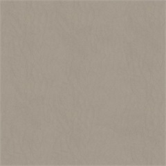 Stetson Healthcare Vinyl Upholstery Fabric